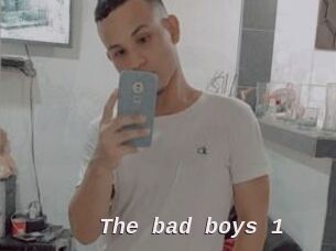 The_bad_boys_1