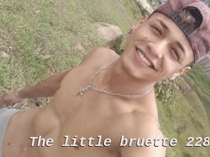 The_little_bruette_228