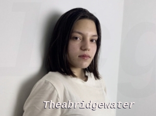 Theabridgewater