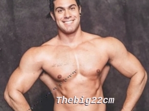 Thebig22cm