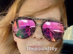 Thepoundtoy