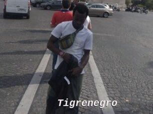 Tigrenegro