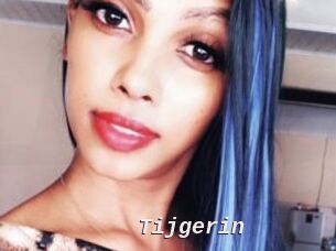 Tijgerin