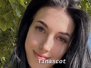 Tinascot