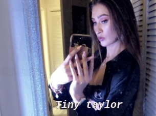 Tiny_taylor