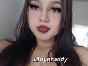 Tinybrandy