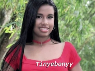 Tinyebonyy