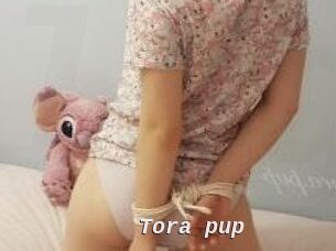 Tora_pup