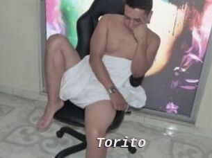 Torito