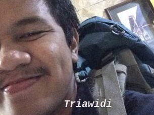 Triawidi