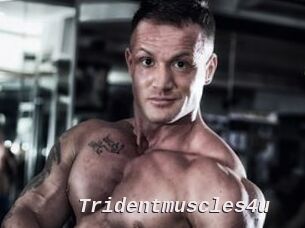 Tridentmuscles4u