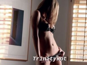 Trinitykot