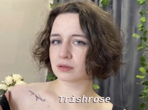 Trishrose