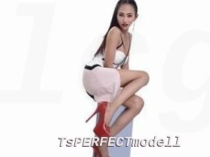 TsPERFECTmodell