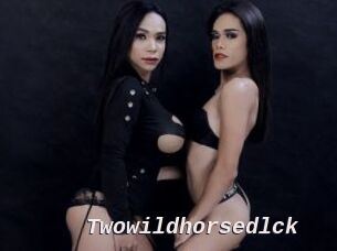 twowildhorsedlck Live Camgirls Sex