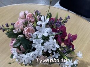 tywebb110 Live Camgirls Sex