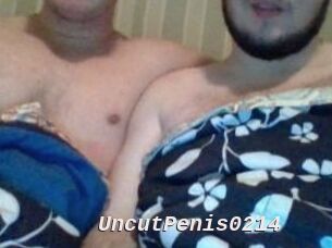 UncutPenis0214