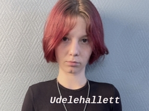 Udelehallett
