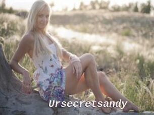 Ursecretsandy