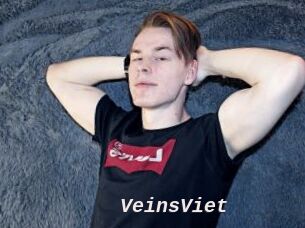 VeinsViet