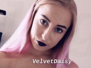 VelvetDaisy