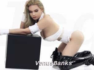 VenusBanks Live Camgirls Sex