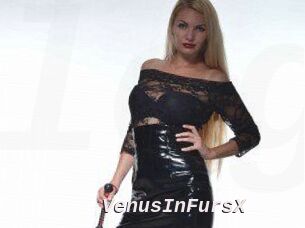 VenusInFursX
