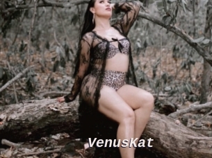 VenusKat