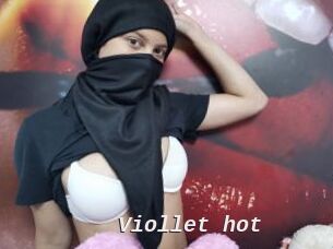 Viollet_hot