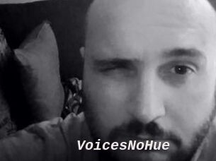 VoicesNoHue