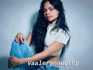 Vaalerynaugthy