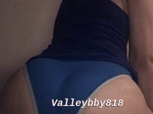 Valleybby818