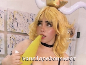 Vanelopebonsweet