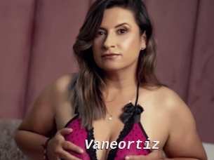 Vaneortiz