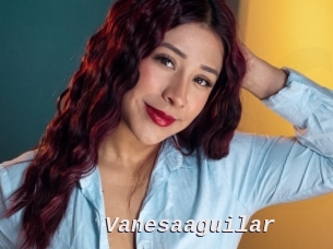 Vanesaaguilar