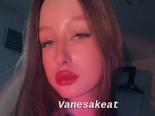 Vanesakeat