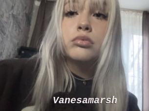 Vanesamarsh