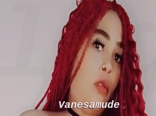 Vanesamude