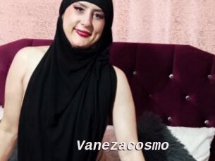 Vanezacosmo