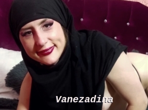 Vanezadina