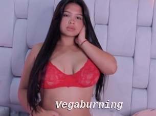 Vegaburning