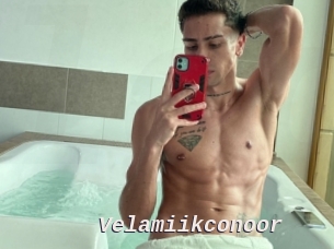 Velamiikconoor
