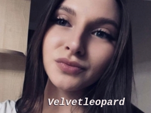 Velvetleopard