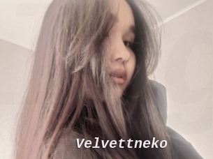Velvettneko