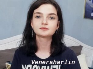 Veneraharlin