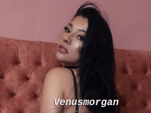 Venusmorgan