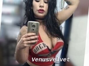 Venusvelvet