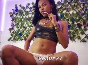 Venuz77