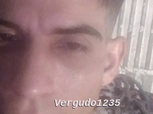 Vergudo1235