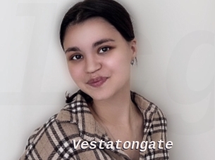 Vestatongate